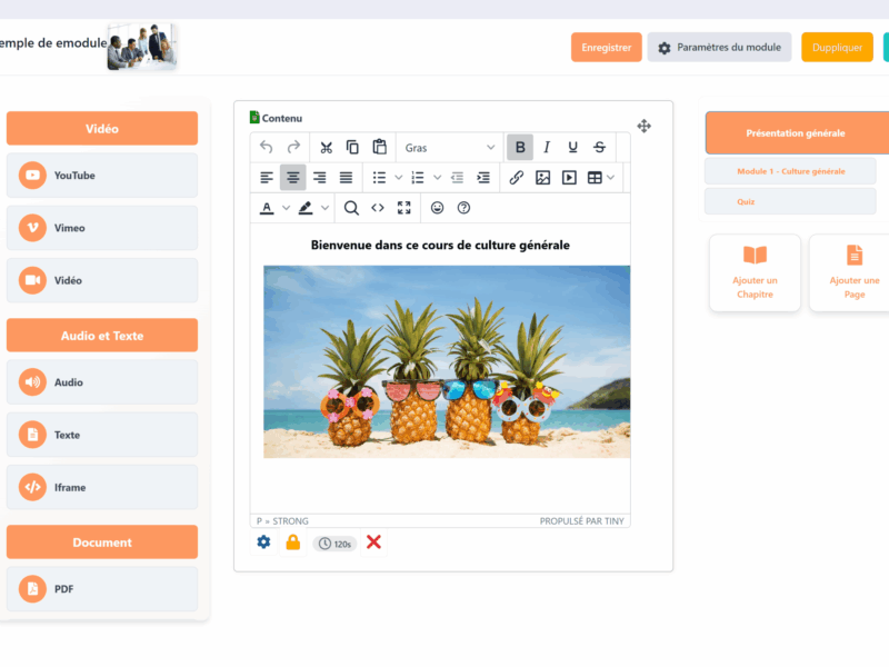Modules e-learning interactifs